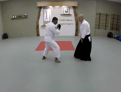 Kotegaeshi from a punch